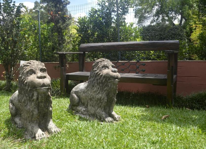 Otros Foto