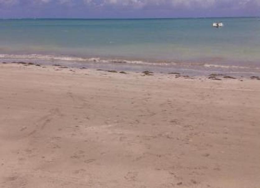 Playa Foto