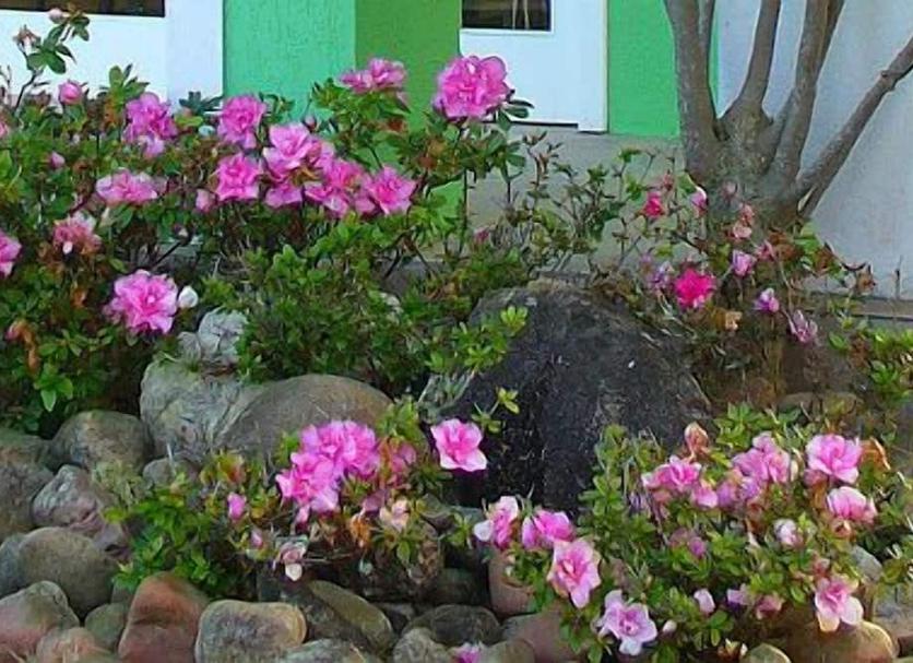 Vista del exterior Foto