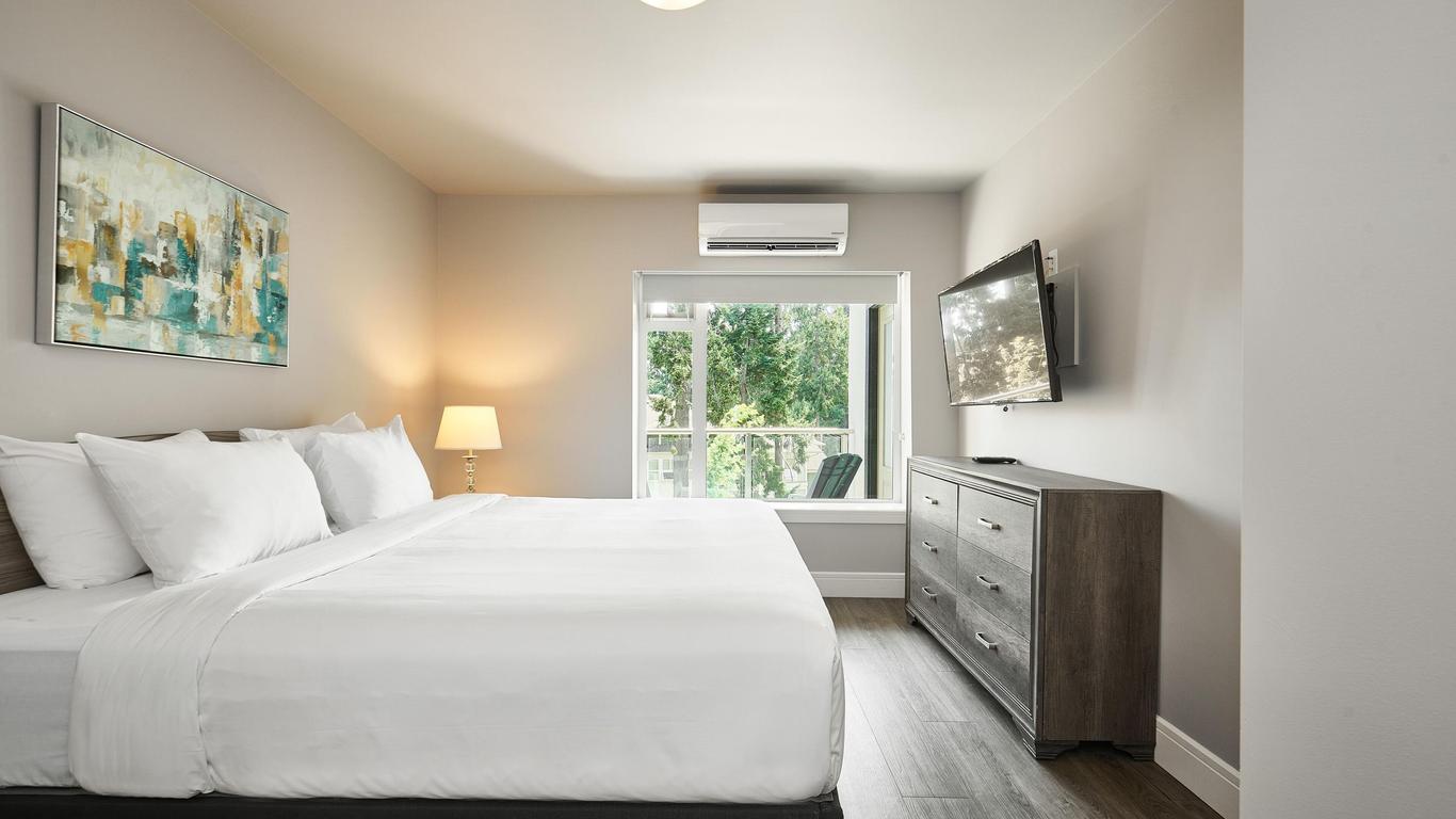 Solo Suites