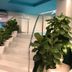 Escaleras