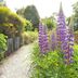 Vista del exterior