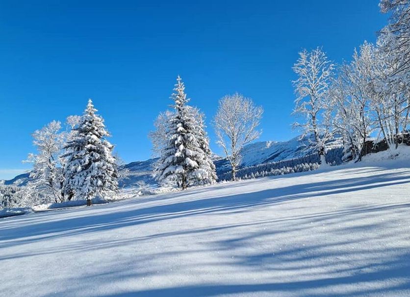 Servicio del hotel Foto