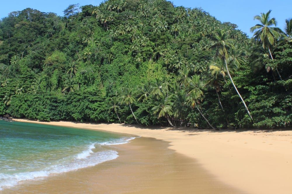 Playa