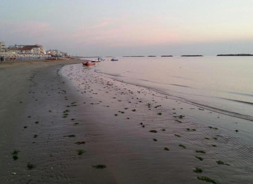Playa Foto
