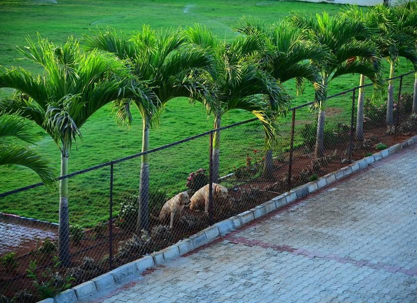 Vista del exterior Foto