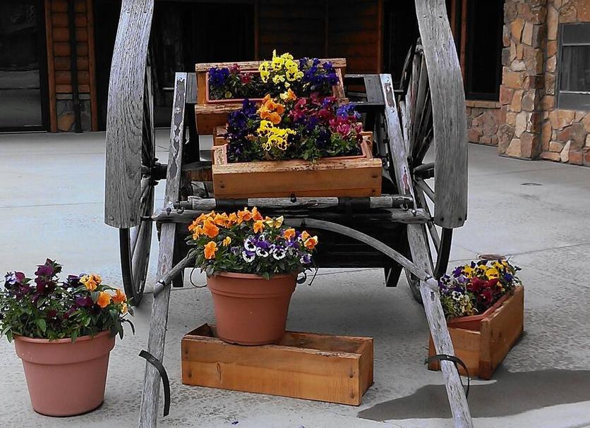 Patio Foto