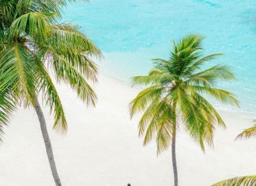 Playa Foto