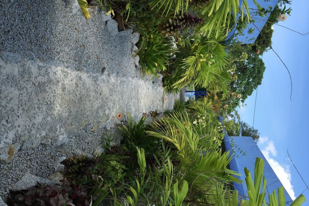 Vista del exterior