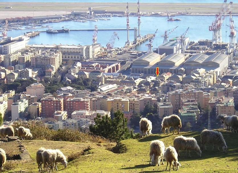 Vista del exterior Foto