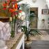 Decoración