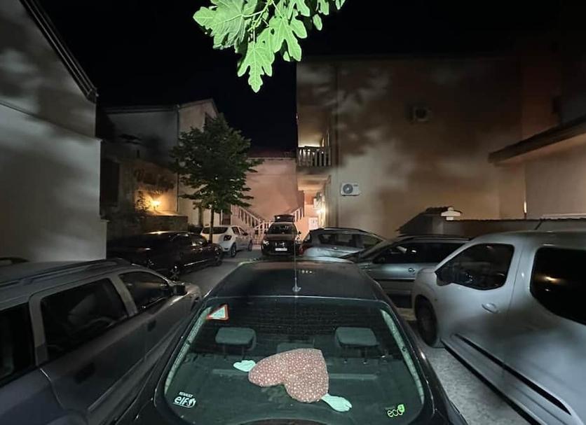 Otros Foto