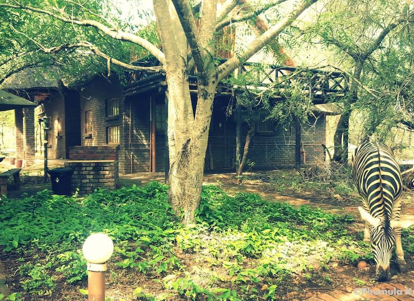 Vista del exterior Foto