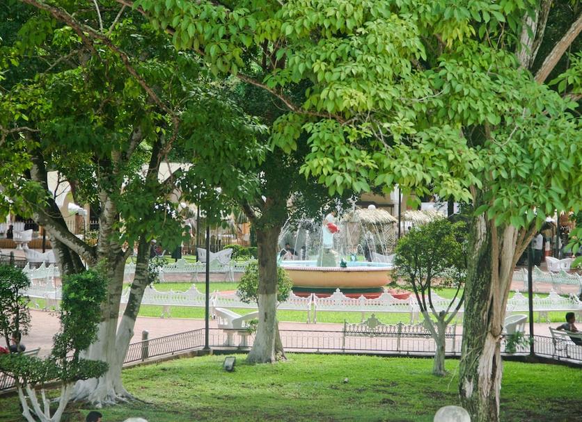 Vista del exterior Foto