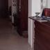 Servicio de la habitación