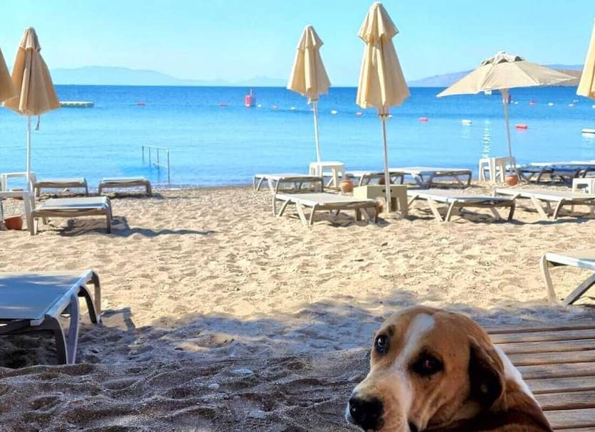Playa Foto