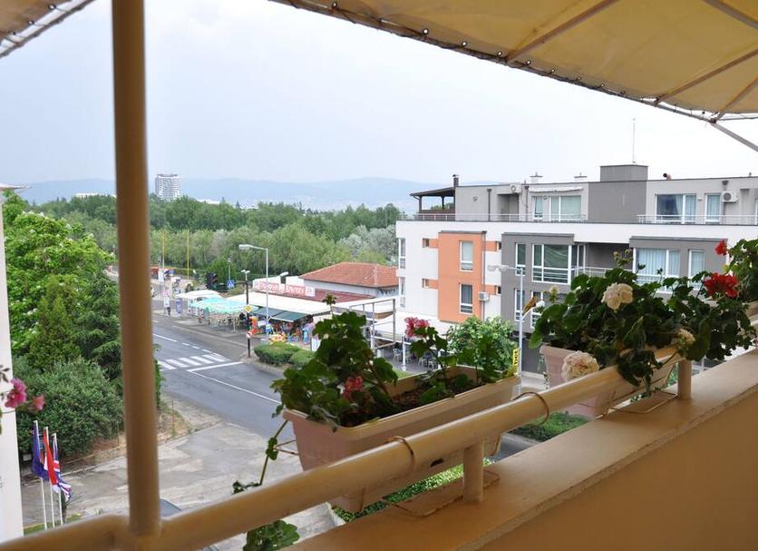 Otros Foto