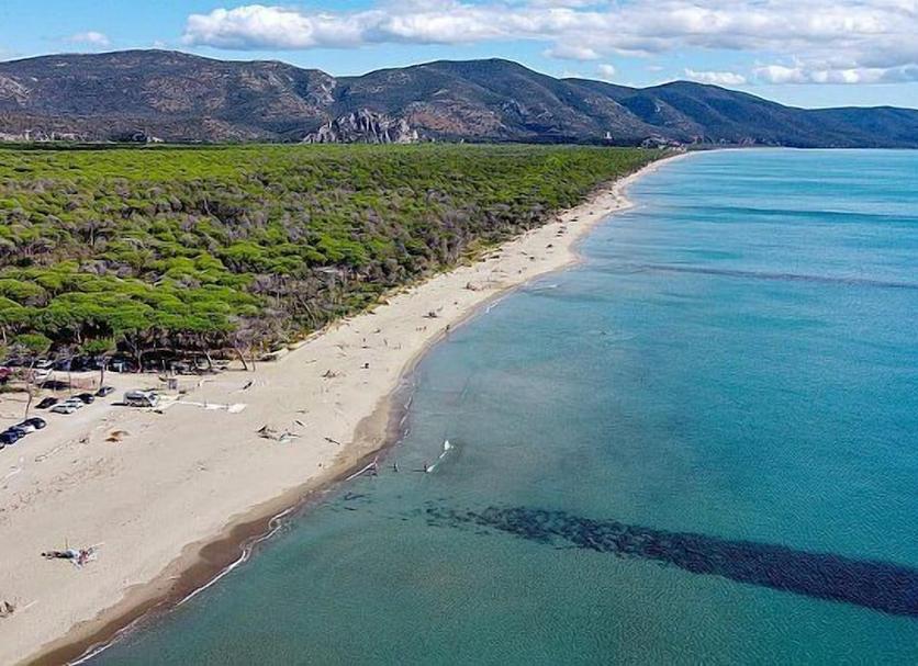 Playa Foto