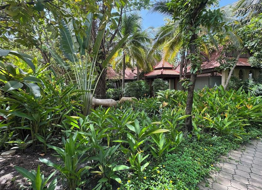 Vista del exterior Foto