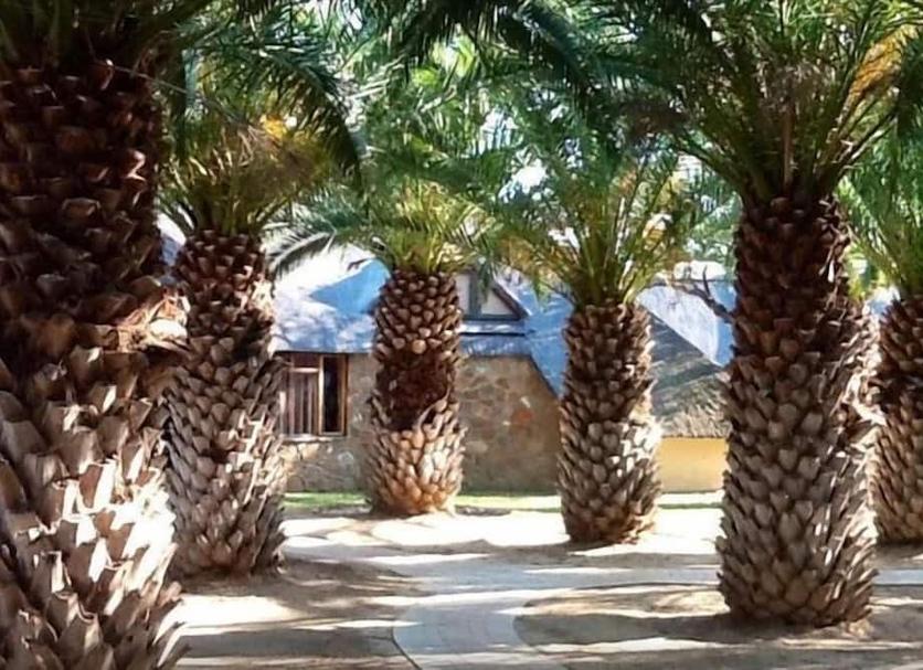 Vista del exterior Foto