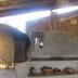 Servicio de la habitación