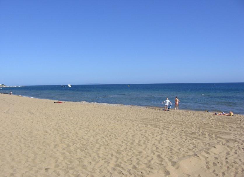 Otros Foto