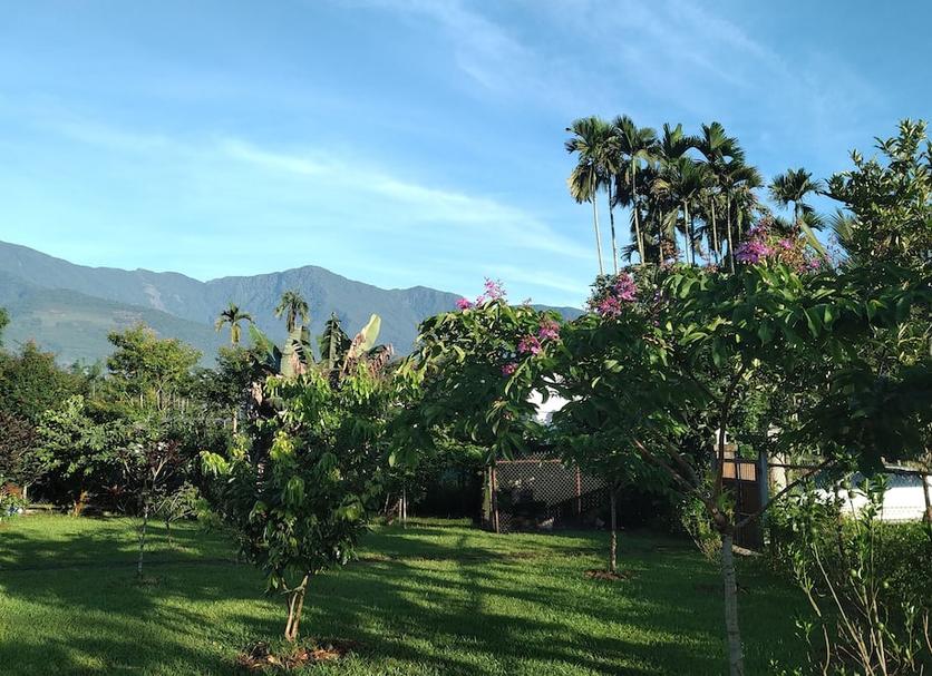 Vista del exterior Foto