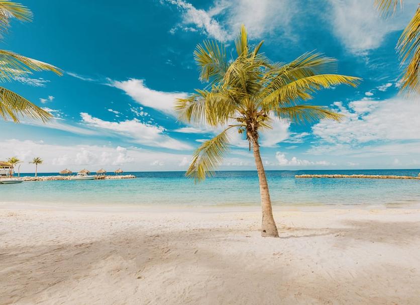 Playa Foto