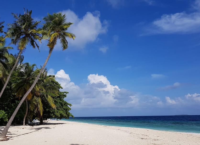Playa Foto