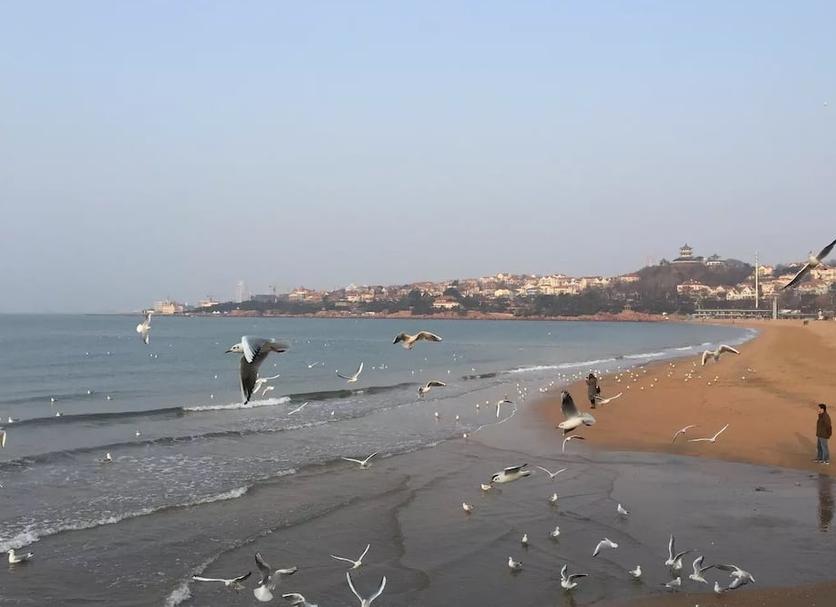 Playa Foto