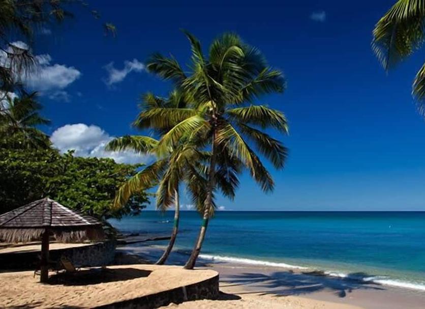 Playa Foto