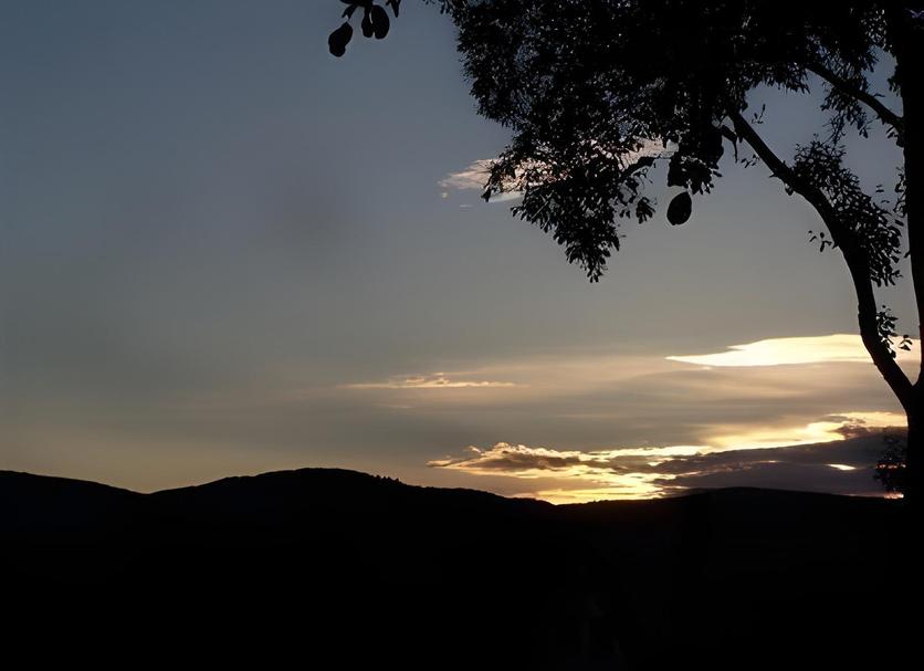 Otros Foto