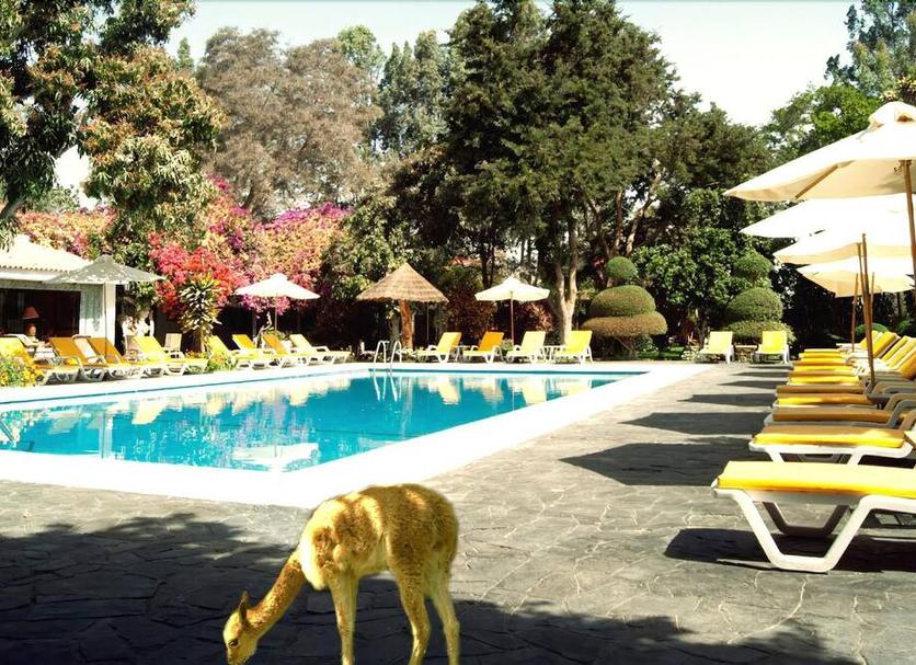 Piscina Foto