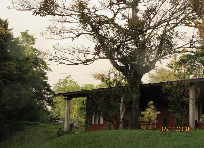 Otros Foto