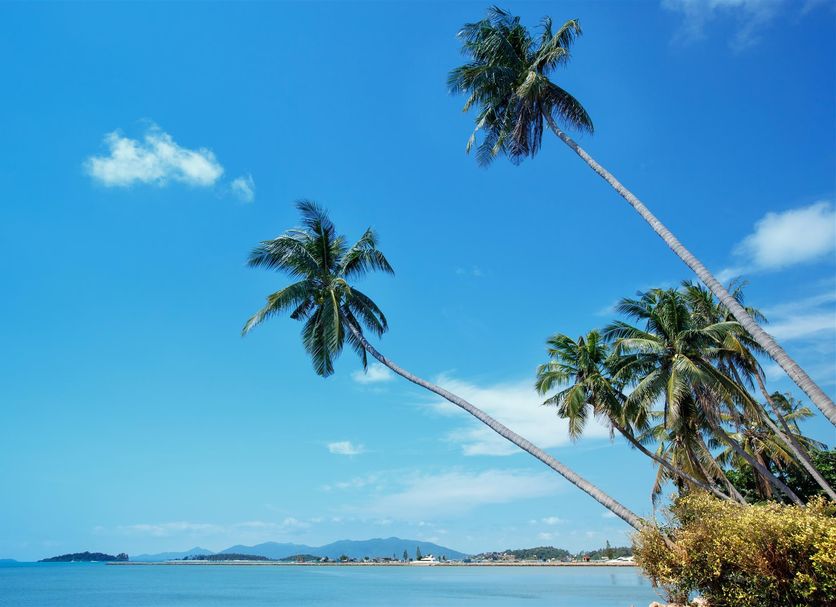 Playa Foto