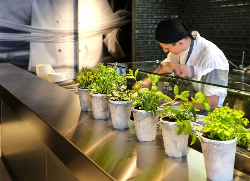 Restaurante Foto