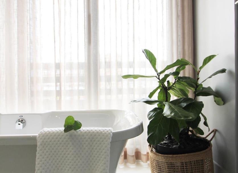 Servicio de la habitación Foto
