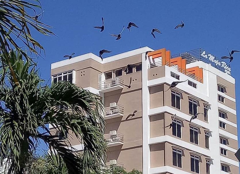 Edificio Foto