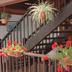 Escaleras