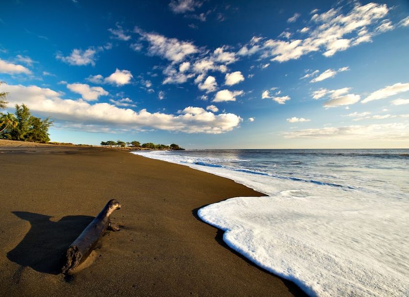 Playa Foto