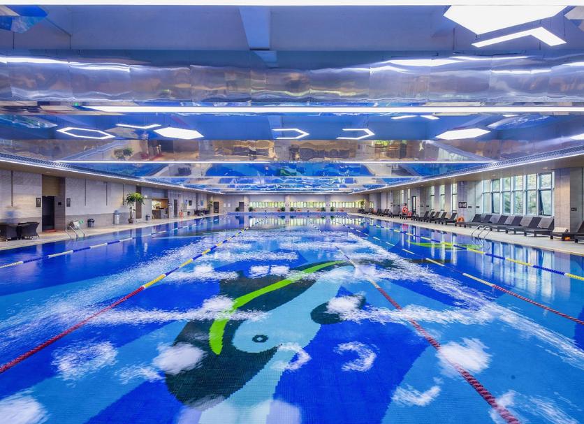 Piscina Foto