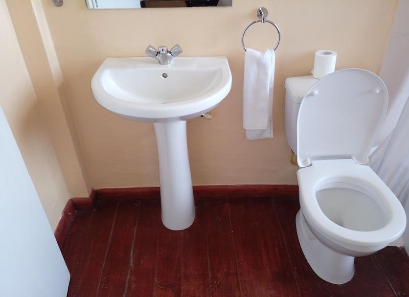 Baño Foto