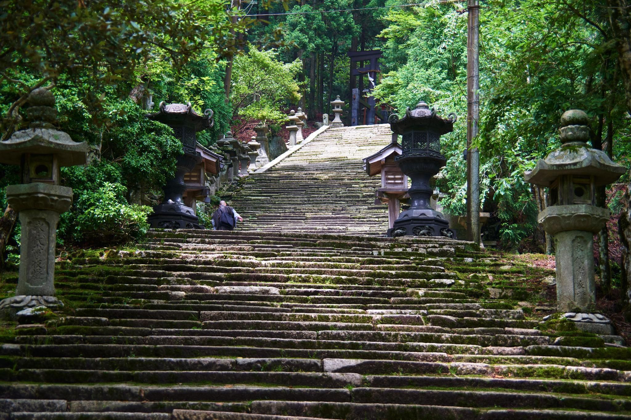 Vista del exterior