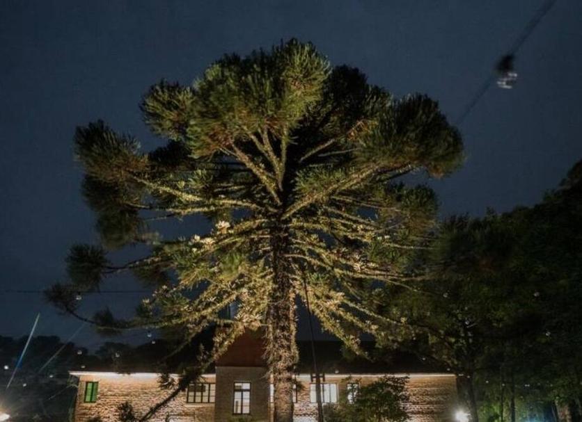 Vista del exterior Foto