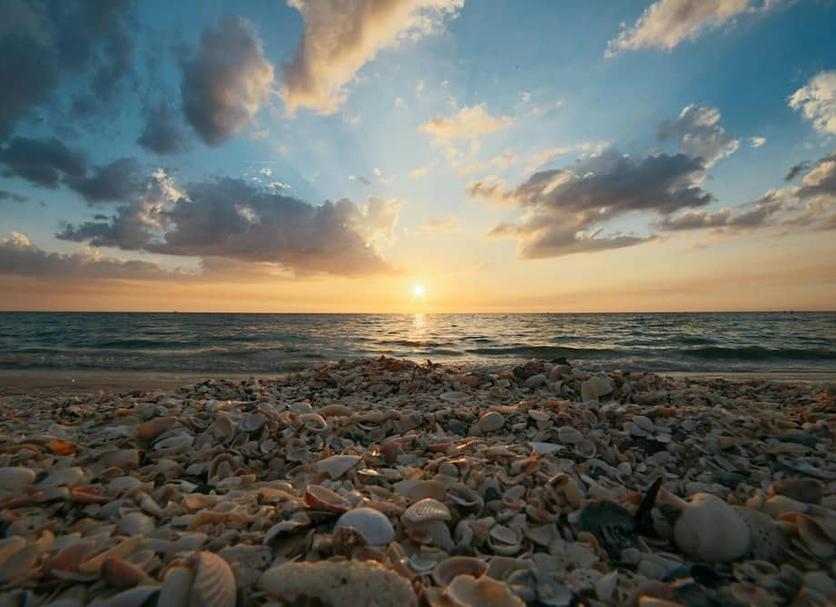 Playa Foto