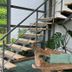 Escaleras
