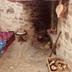 Servicio de la habitación