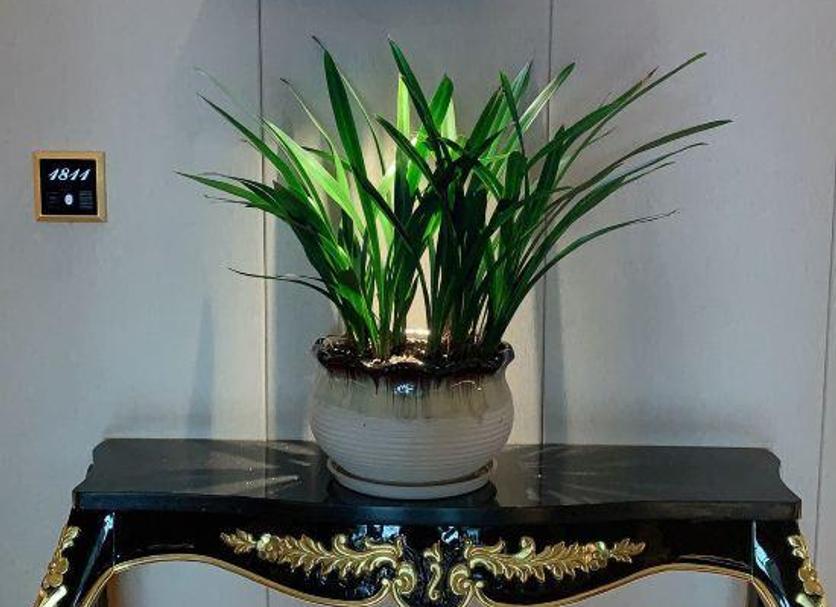 Servicio de la habitación Foto