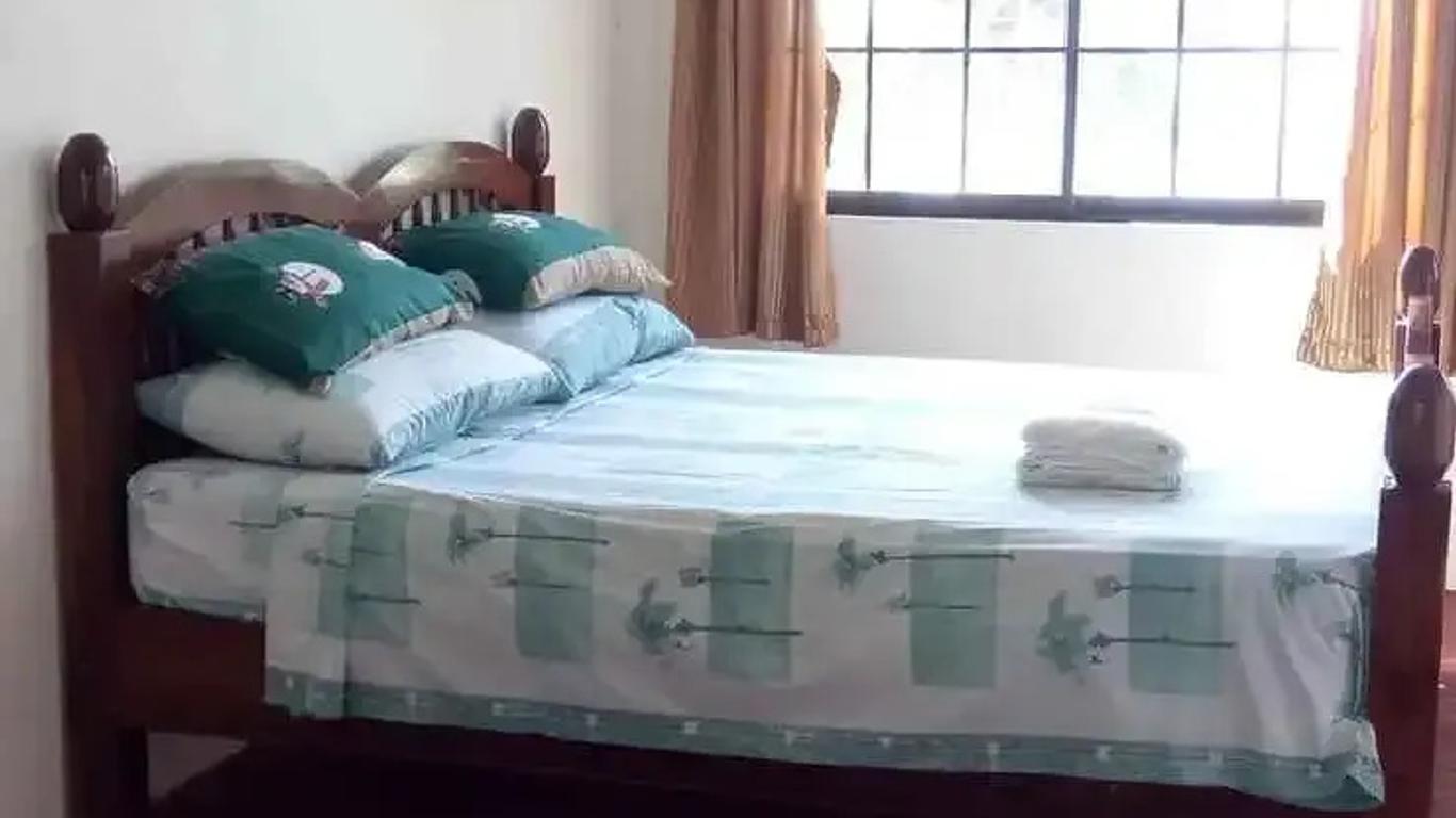 Kiwi's Hidden Resort