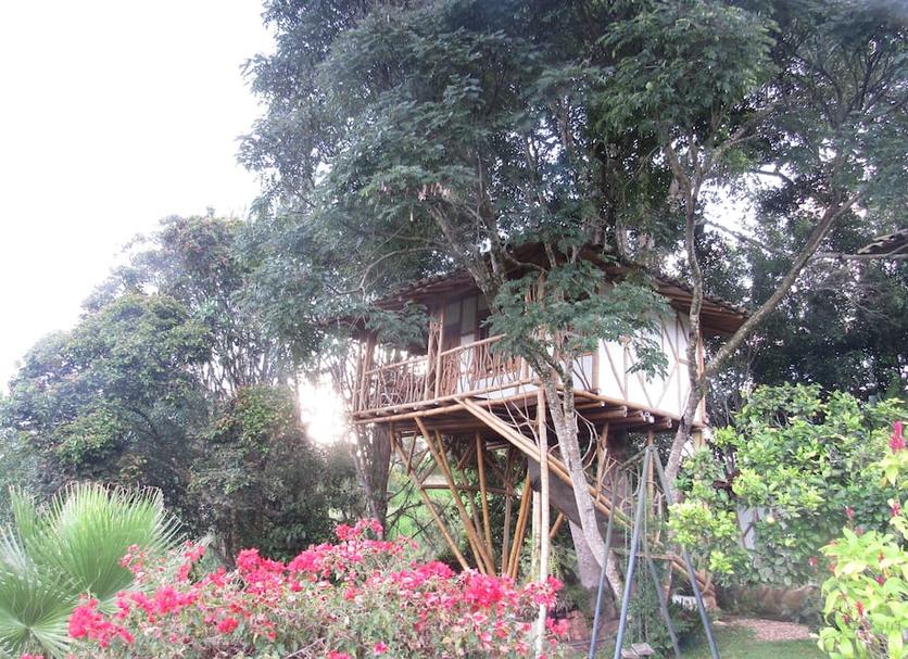 Vista del exterior Foto
